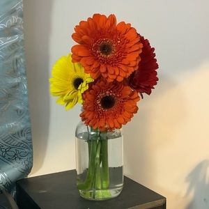 Meet your Posher, Abby